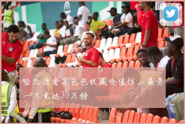 哈兰德奢华包包收藏价值惊人最贵一只竟达33万镑